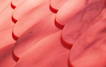 Walton plastic roof costs