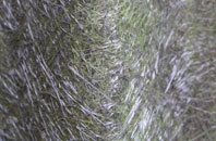 Walton fibreglass roof work