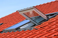 Walton roof window